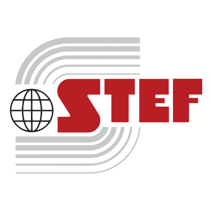LOGO STEF